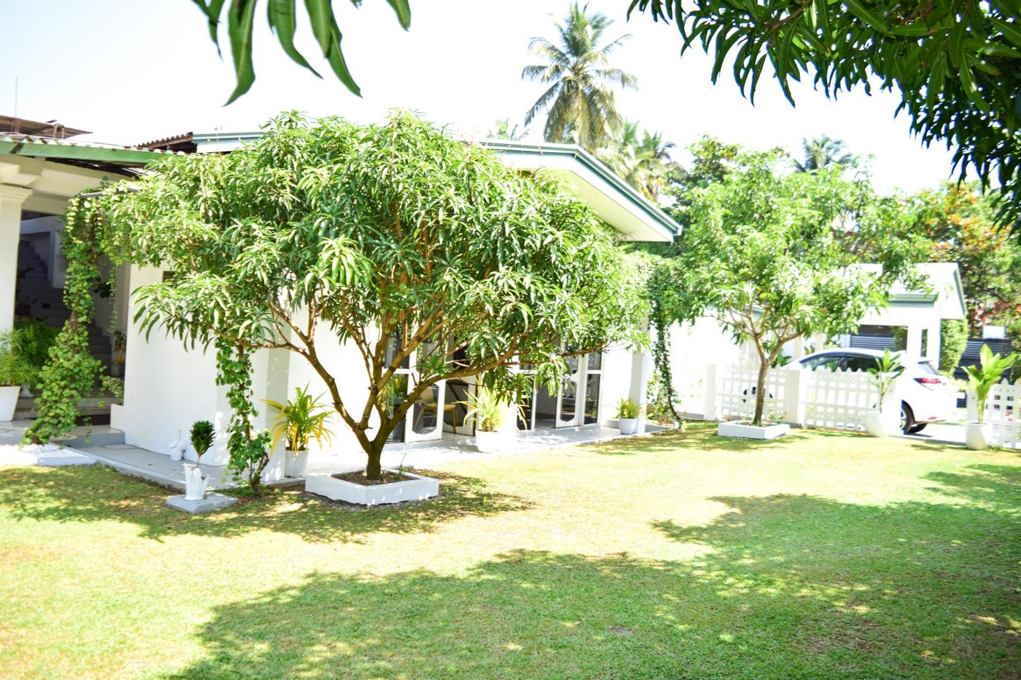 The Bamboo Tree Transit Hotel Katunayaka Exterior foto
