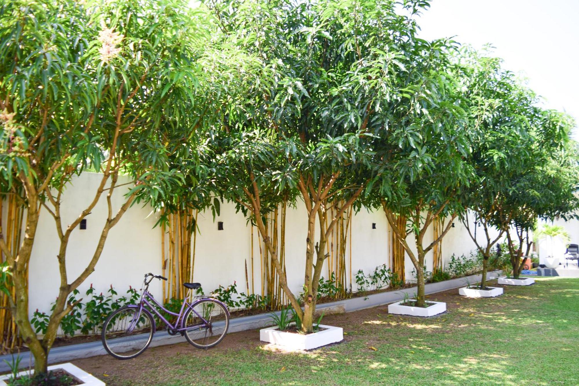 The Bamboo Tree Transit Hotel Katunayaka Exterior foto